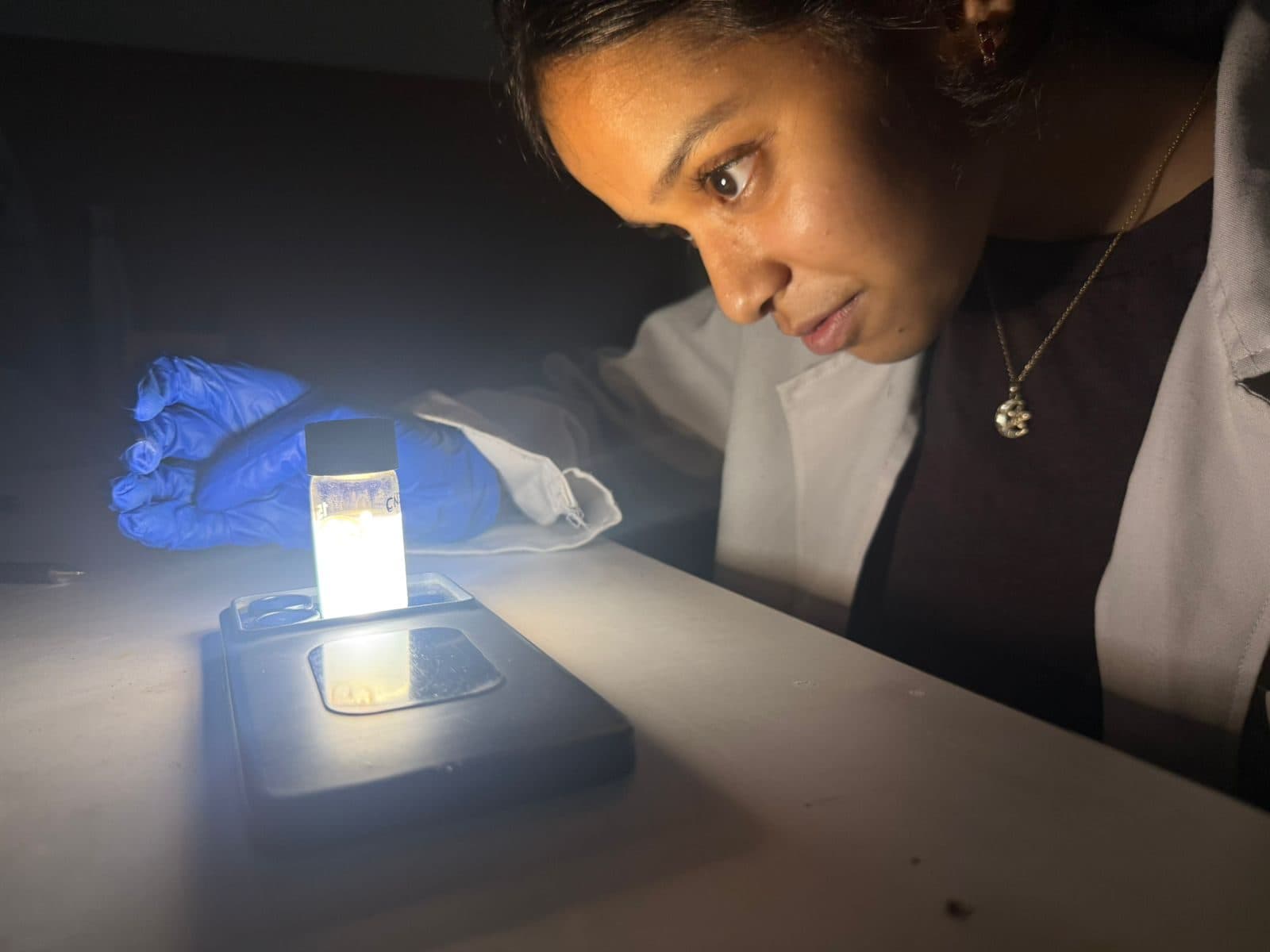 Student inspecting a sample over a light source